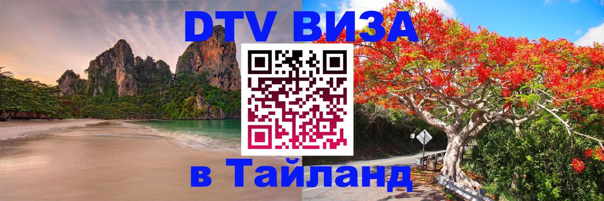 Оформление DTV визы под ключ: стоимость и тарифы, только загранпаспорт - Петрозаводск 